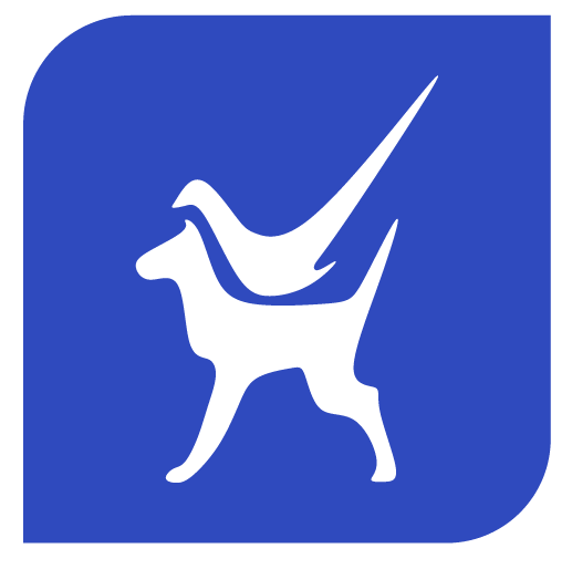 Haiken